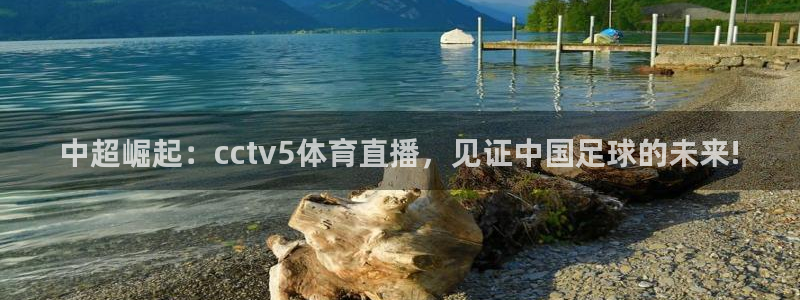 极速体育飞速直播：中超崛起：cctv5体育直播，见证中国足球的未来!