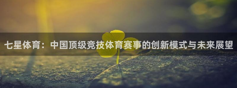 飞速体育在线直播观看：七星体育：中国顶级竞技体育赛事的创新模式与未来展望