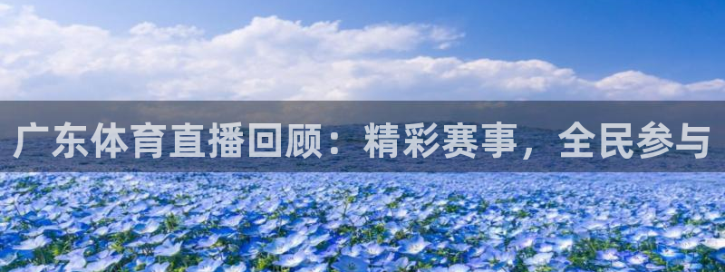 飞速足球直播：广东体育直播回顾：精彩赛事，全民参与