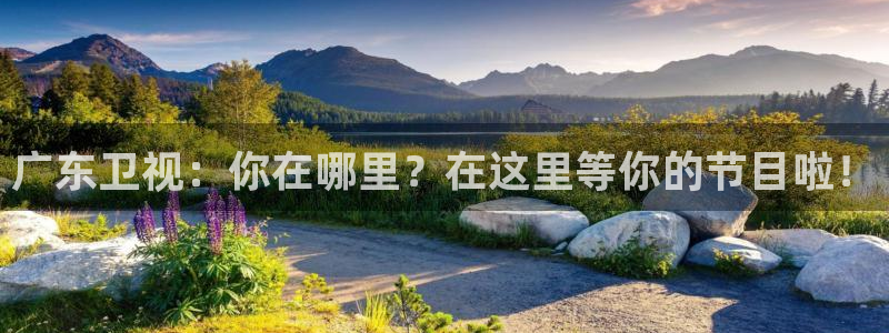 飞速直播nba无插件：广东卫视：你在哪里？在这里等你的节目啦！