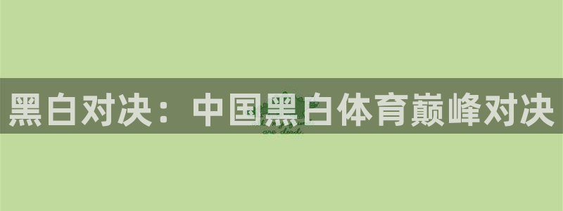 nba飞速体育