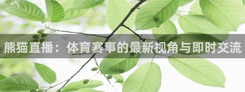 酷玩直播飞速直播低调看nba直播