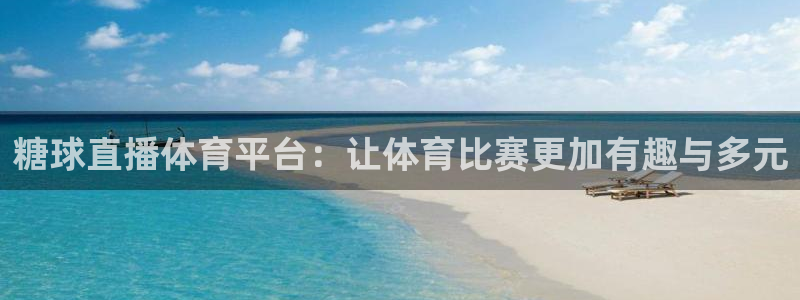 高速直播飞速体育