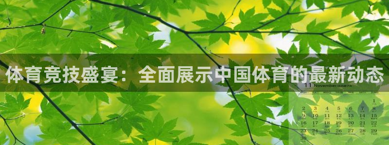 飞速体育直播\'：体育竞技盛宴：全面展示中国体育的最新动态
