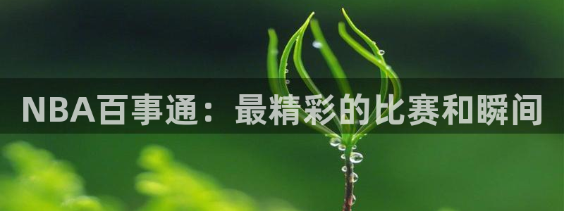 飞速直播nba免费直播在线观看：NBA百事通：最精彩的比赛和瞬间