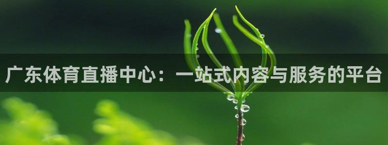 飞速体育足球直播免费观看：广东体育直播中心：一站式内容与服务的平台