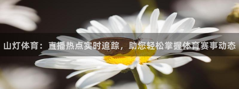 飞速体育直播app下载：山灯体育：直播热点实时追踪，助您轻松掌握体育赛事动态